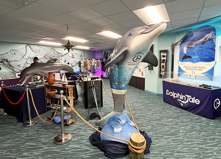 Filmausstellung im Clearwater Marine Aquarium, St. Pete-Clearwater