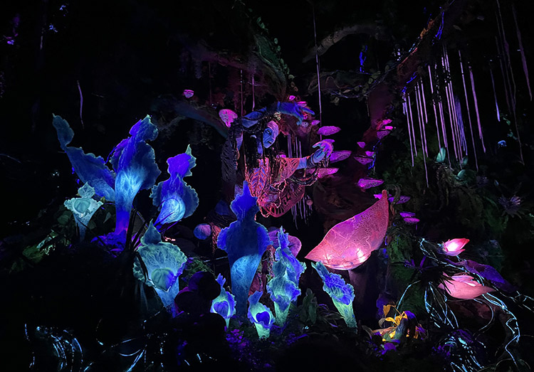 Na'vi River Journey, Animal Kingdom, Walt Disney World 